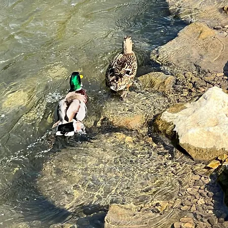 Entenbruecke - Ruhig Wohnen, Schnell In Stuttgart Apartment